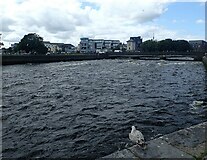 M2924 : River Corrib in Galway by Marathon
