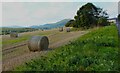 Cylinder bales on a Millcraig field