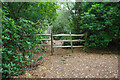 Public footpath 672/2, East Lavington and Duncton