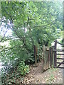 Gate on the Coast Path