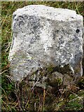NY8910 : Old Boundary Marker south of Aygill Pool and the A66 by Colin Smith