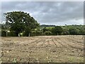 Field of stubble south of Forden