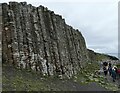 C9444 : Basalt Columns at the Giant's Causeway by Russel Wills