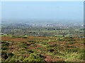 View from the edge of the moor