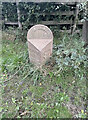 Old Milepost by the A4110, Gotherment, Wigmore parish