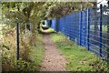 Bright blue fence around grounds of The Hayling College