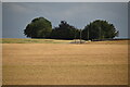 Farmland, Fife