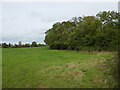 Grassland and woodland near Hellidon