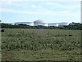 SM9205 : Huge storage tanks at Waterston oil refinery by Eirian Evans