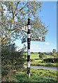 NY3647 : Direction Sign - Signpost near Hawkesdale Hill by B Todd