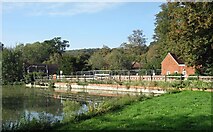 TQ1549 : Mill Pond, Pipp Brook by Des Blenkinsopp