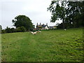 Footpath across a grass field, Wing