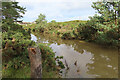 Spynie Canal