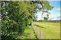 NZ0468 : Hadrian's Wall Path near Wall Houses by Jeff Buck