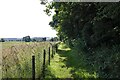 NZ0468 : Hadrian's Wall Path approaching East Wallhouses by Jeff Buck