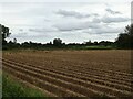 Ridged field of Hall Road