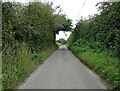 Mill Road towards Sutton Mill