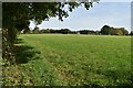 Field north of Westbury Manor Farm