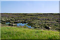 Moorland, Cnoc Torravig