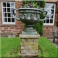 Temple Sowerby, Acorn Bank: Garden plant urn