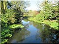 The River Colne from North Station Road Colchester