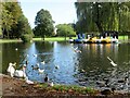 Boating lake in Castle Park Colchester