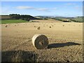 Bales south of Cairnballoch