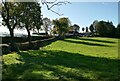 Craigend Farm & Nursery