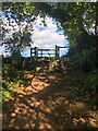 Stile with stone steps on the Coast Path