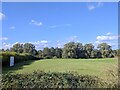 Sports ground outside Kelvedon