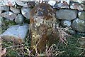 Old Boundary Marker near Ellercow