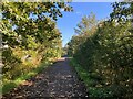 Riverside Path and Road Bridge