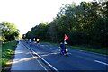 Marathon racers on the A166