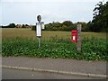 Elizabeth II postbox and bus stop on Church Road, Woodton