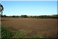 Arable land at Allerwash Farm