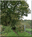 A track to Cain Lane leaving Ashday Lane, Southowram