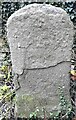 Old Boundary Marker on Pope