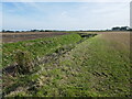 Drain near Mumby