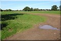 Field at Sladbrook