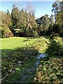 Stream in Thorp Perrow Arboretum