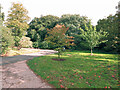 Paths in Kew Botanical Gardens