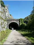 SK1272 : West portal of Rusher Cutting tunnel on Monsal Trail by David Smith