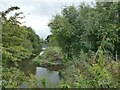 North end of the river Cheswold