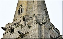 TF2340 : Swineshead, St. Mary's Church: Tower with many gargoyles and grotesques by Michael Garlick
