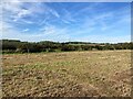 Field of Crop Stubble near Kelham