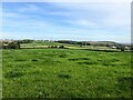 View from Micklebarrow Hill