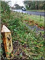 Old Milepost by the A1, north of Morpeth