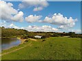 Greenham Common ponds