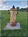 Greenham Common yellow hydrant