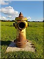 Greenham Common yellow hydrant